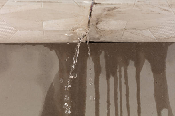 Professional Structural Drying technician working in Gaines, MI